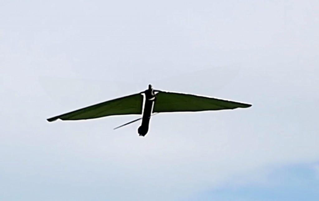 Robo_Raven_in_flight