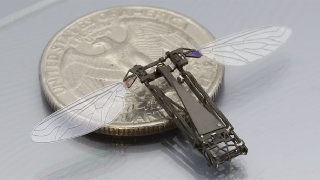 xl_robobee
