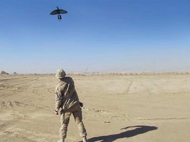 是一只鸟,这就是他们想要你的想法!3