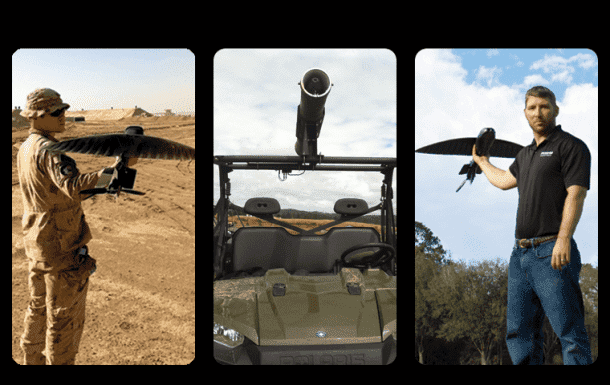 是一只鸟,这就是他们想要你的想法!4