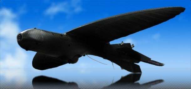 是一只鸟,这就是他们想要你的想法!