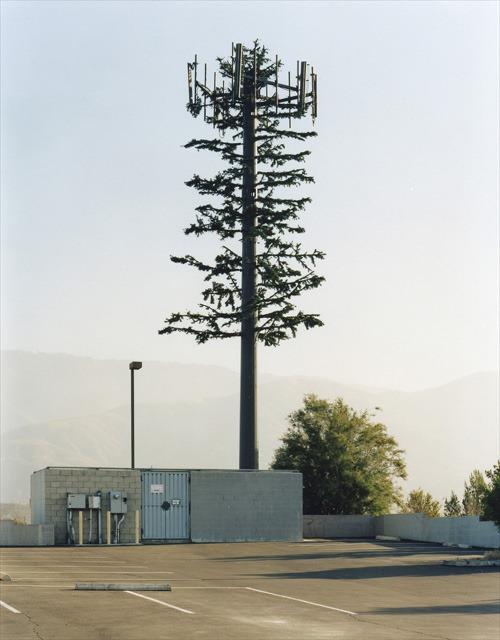 camouflaged_cell_towers (18)