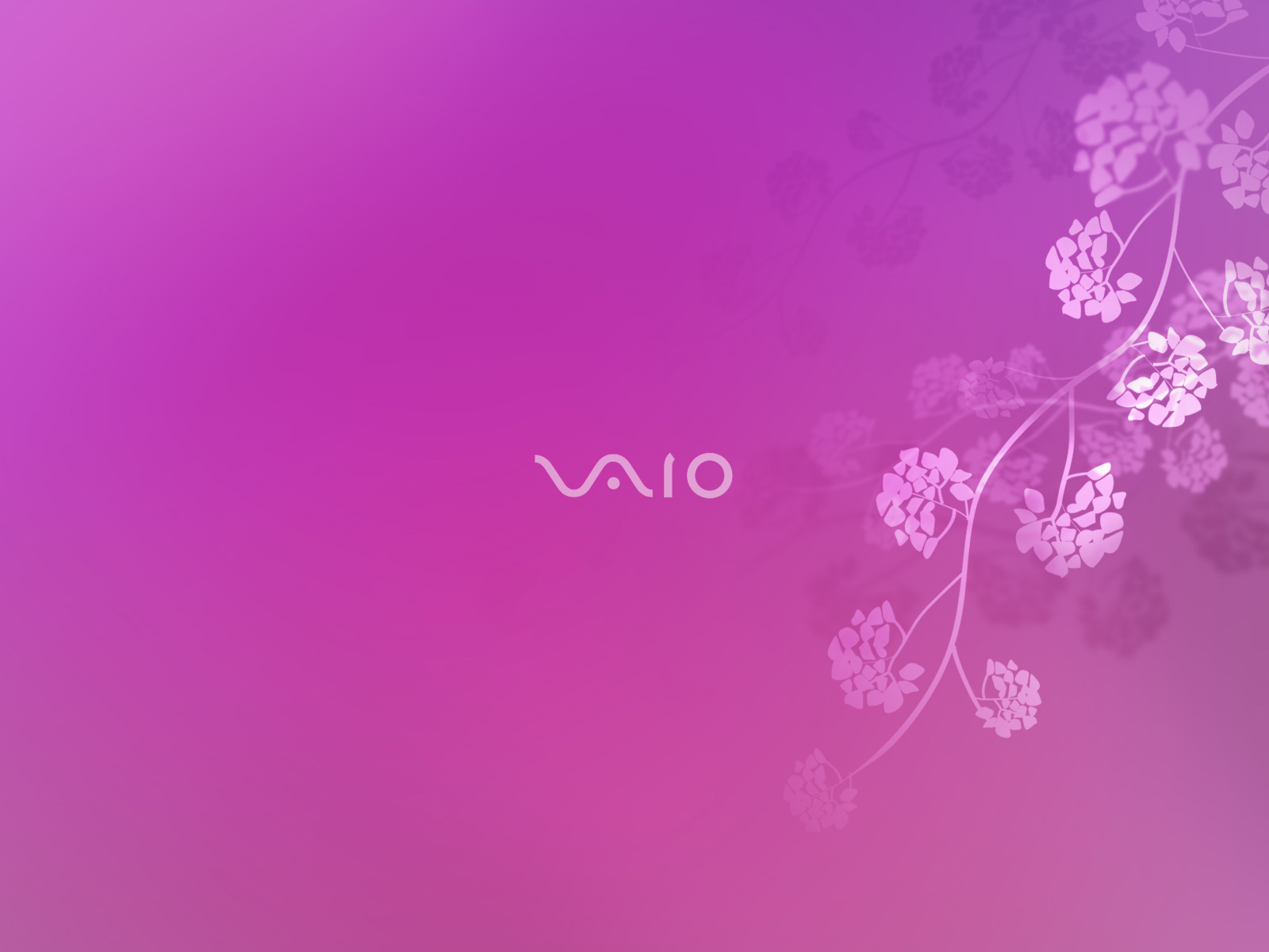 Hd Sony Vaio Wallpapers Vaio Backgrounds For Free Download Yabo亚博微博