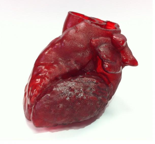 3 d-printed_heart (2)