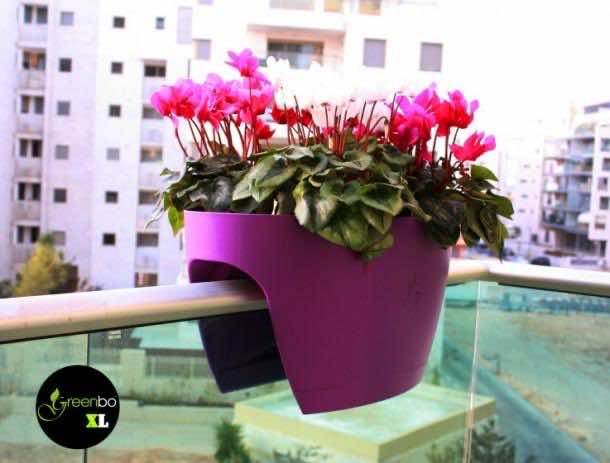 阳台扶手花