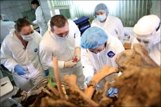 woolly_mammoth_return (3)