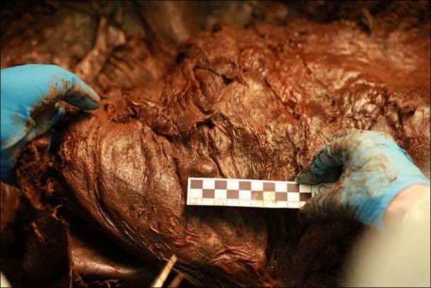 woolly_mammoth_return (6)