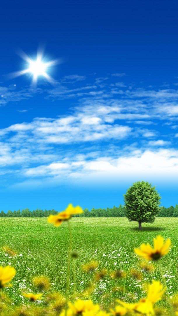 高清三星壁纸自然