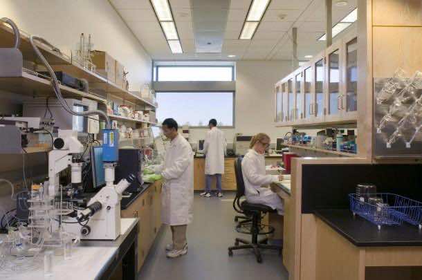 什么是生物医学工程2