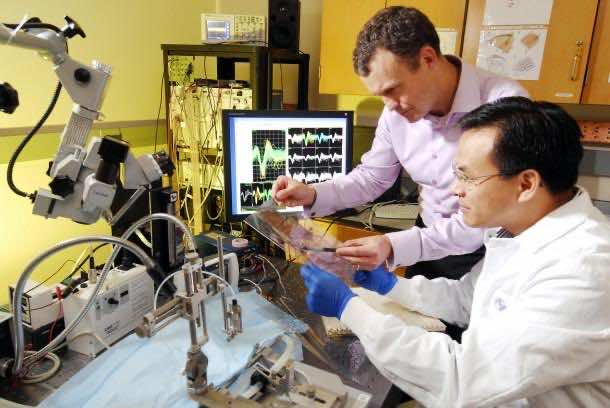 什么是生物医学工程8