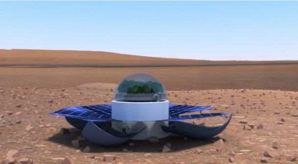 mars_plant_experiment (3)