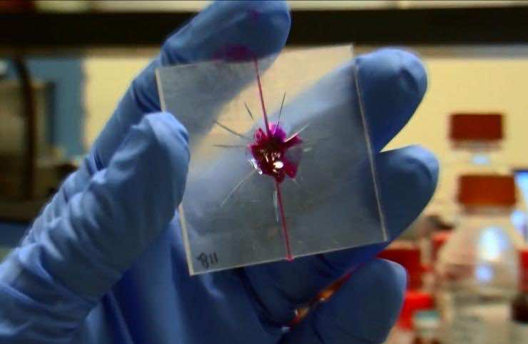 self-healing_plastic (5)