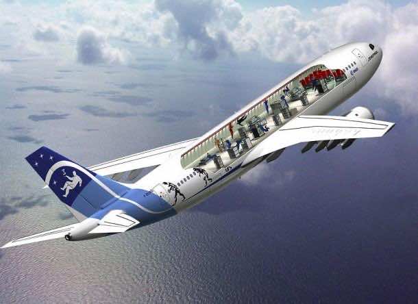 zero_g (1)