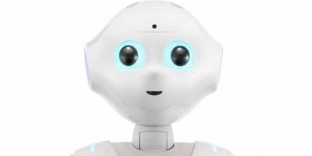 胡椒Softbank3