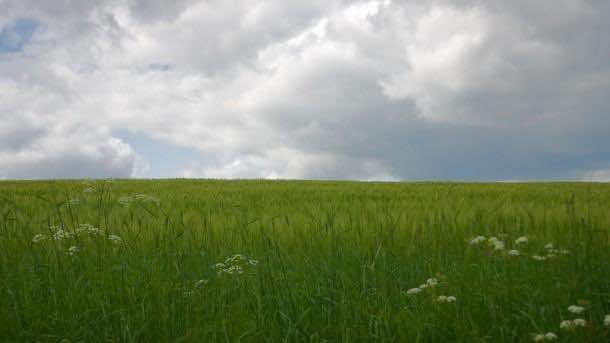 高清风景照片(5)