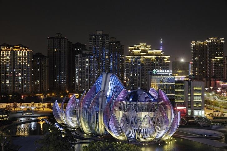 Lotus-Building-7