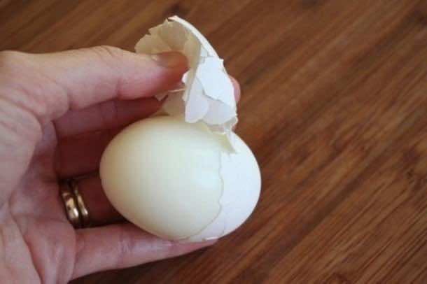 Briliant Life Hacks（16）