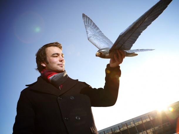 Robirds5
