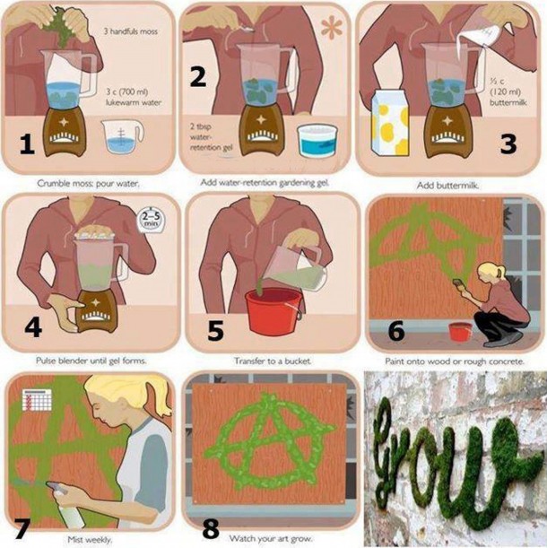 苔藓涂鸦 - 如何做IT4