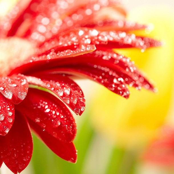 ？?????????????????