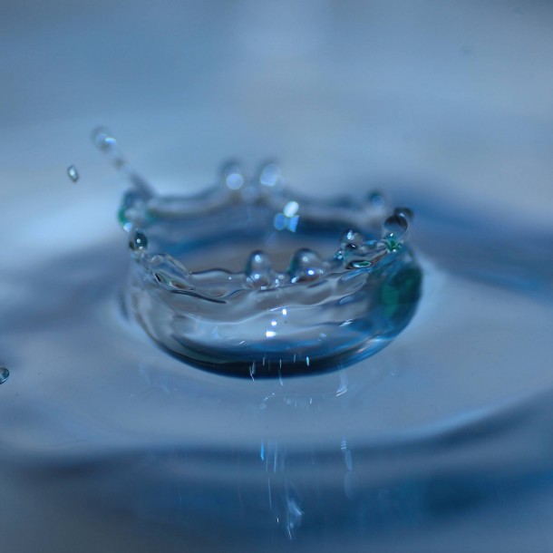 ？?????????????????