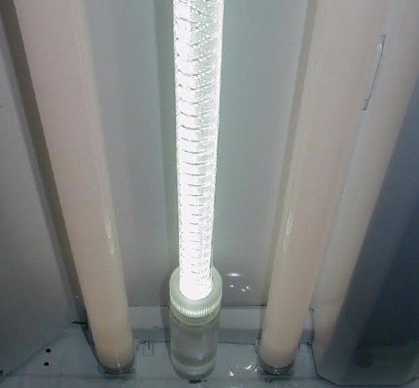 浅匪 - 您使用的阳光重定向4