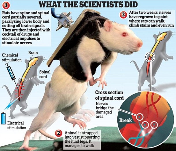 最新图表模板Geoff 9月11日