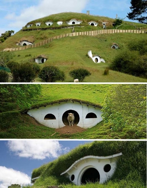 被大自然认领的废弃布景