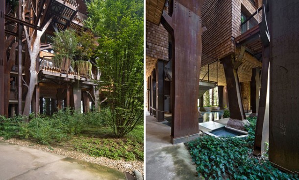 25绿树屋-建筑在它的最好!yabo168vip com9