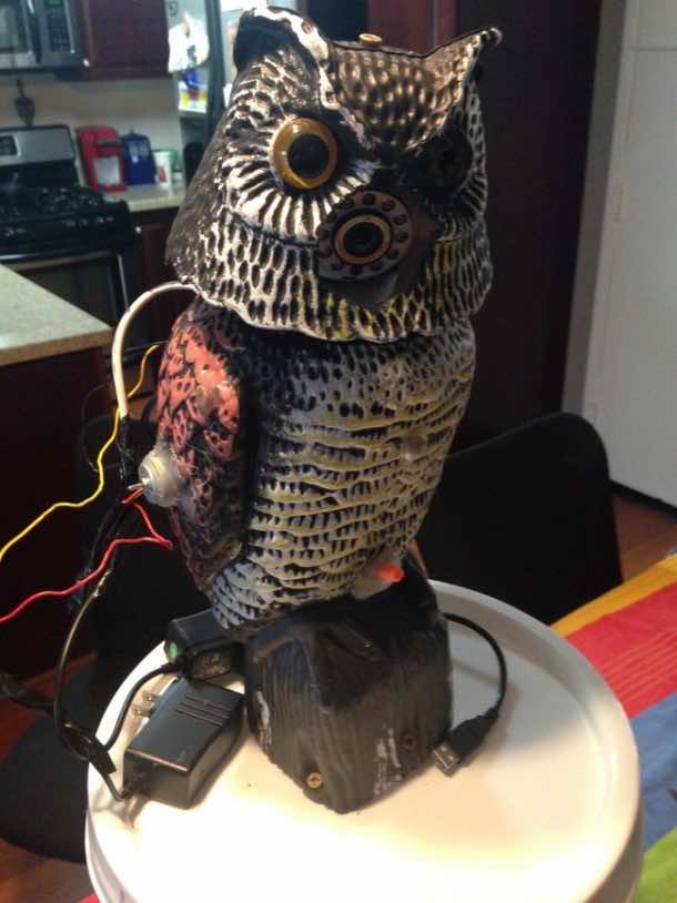 This Guy Had Enough of Nosy Squirrels – An Epic DIY Project 10