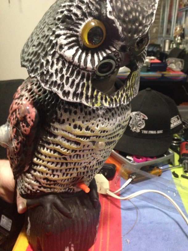 This Guy Had Enough of Nosy Squirrels – An Epic DIY Project 6