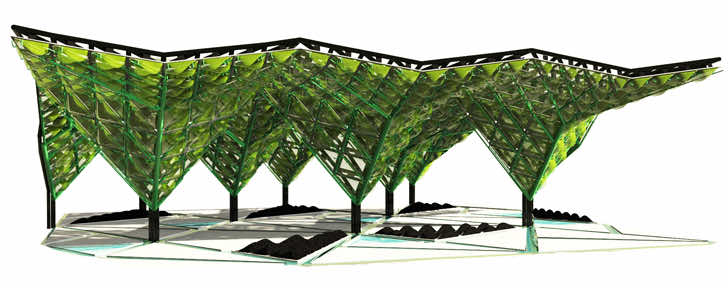 藻类Canopy4