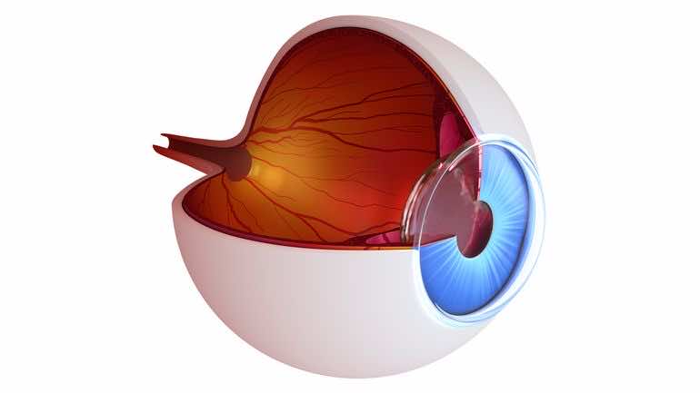 光基因疗法将逆转遗传性失明