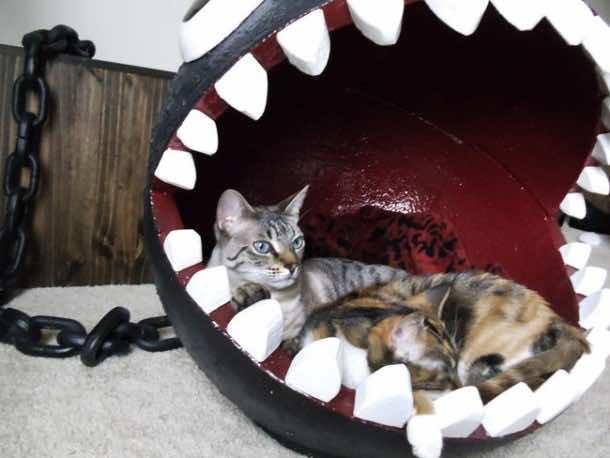 超级马里奥兄弟主题猫床8