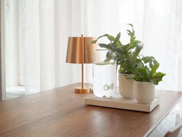 表self-watering4