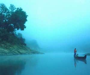 孟加拉壁纸6