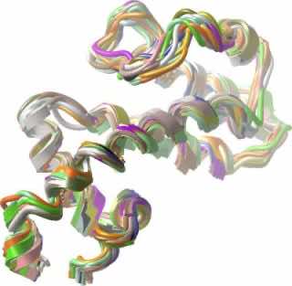 这种药物可以赋予完美的视觉记忆