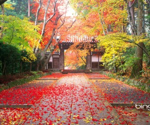 Komyo-Ji五彩缤纷的秋天景象