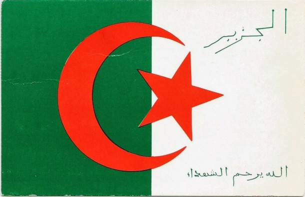 阿尔及利亚国旗（8）