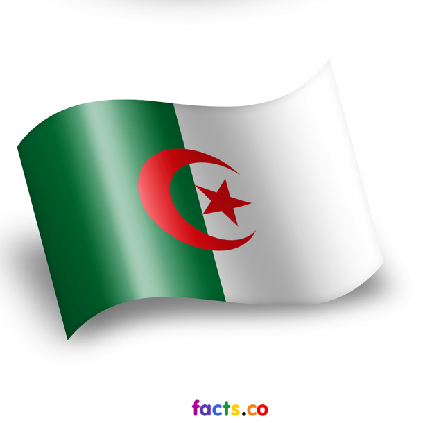 阿尔及利亚国旗（8）