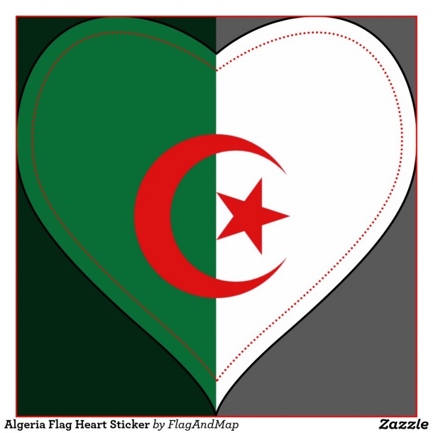 阿尔及利亚国旗（9）