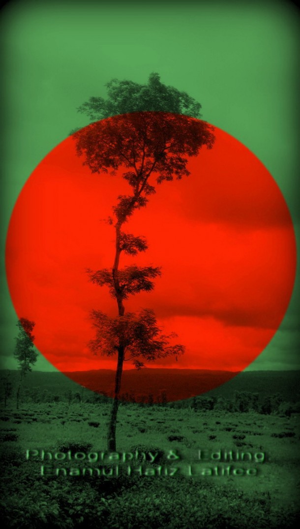 孟加拉国国旗(18)