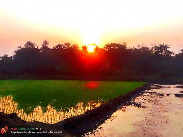 孟加拉国国旗(3)