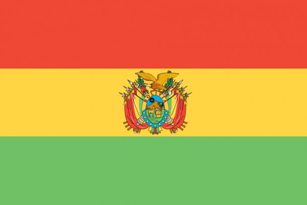 玻利维亚国旗(14)