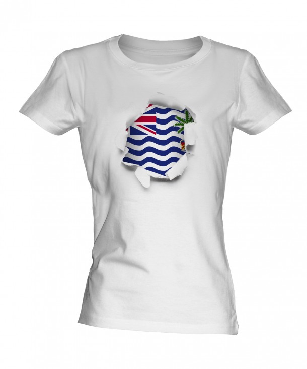 英属印度洋领地旗帜(7)