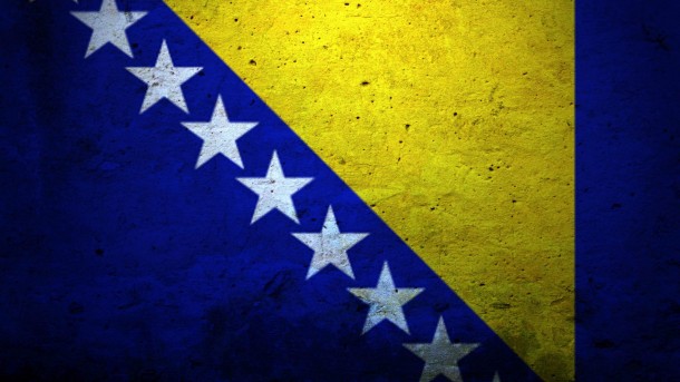 波斯尼亚国旗(20)