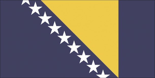 波斯尼亚国旗(8)
