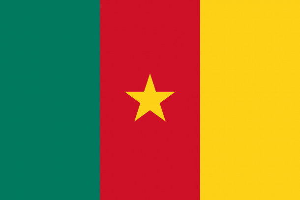 喀麦隆国旗（10）