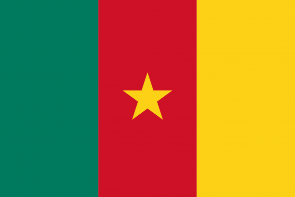 喀麦隆国旗（12）