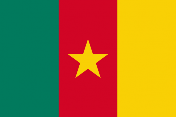 喀麦隆国旗（13）